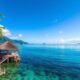 Learning the Local Language in Vanuatu: Tips and Resources