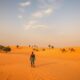 Tax Benefits for Real Estate Investors in Senegal