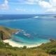 International Banking Services for Expats in St. Kitts and Nevis