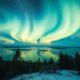 Expats in Finland: Testimonials from French Homeowners