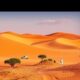 Buying a Hotel in Morocco: Complete Checklist