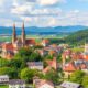 Expatriation with Pets in Austria: Procedures, Pitfalls to Avoid, and Practical Tips