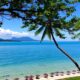 Expat Culinary Guide: Local Costa Rican Cuisine