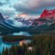 Business Bank Account: Guide to Opening in Canada