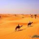 Legal Guide to Buying Farmland in Senegal