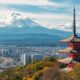 Expatriation with Pets in Japan: Procedures and Tips