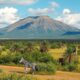 Guide to Labor Law in Madagascar
