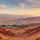 Expatriation to Algeria with a Pet: Procedures and Practical Tips