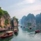 Moving to Vietnam with Pets: A Practical Guide