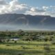 Expatriation with Pets in Botswana: Procedures, Pitfalls to Avoid, and Daily Life