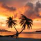 Nightlife in Vanuatu: Your Best Evening Outings