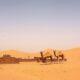 Geography of Morocco: Relief, Climates, and Landscapes