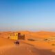 Expatriating to Morocco with Pets: Tips and Procedures